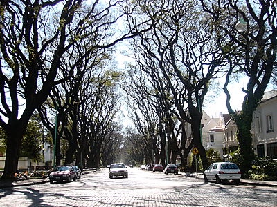 belgranostrasse.JPG