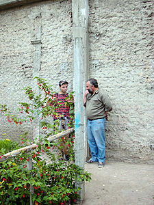 paro-freir.JPG