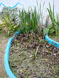 paro-wasser.JPG