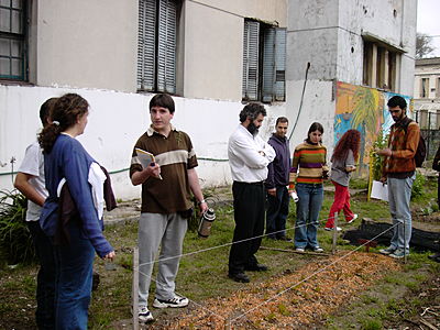 borda-gruppe-javi.JPG