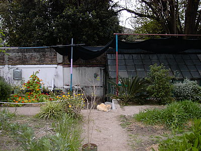 borda-viveros.JPG