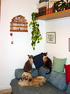 Picture 031b.jpg