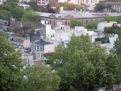 carranzadach2.JPG