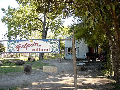 MTD-galpon.jpg