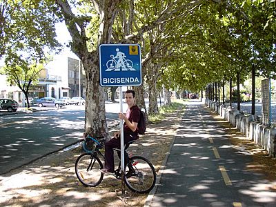 radweg-klein.jpg