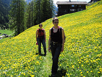 blumen und inka und jule.jpg