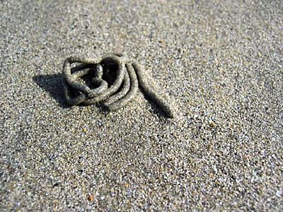 klien-sand2.jpg