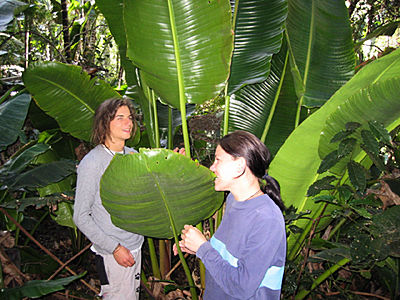 emeli und ali im urwald.jpg