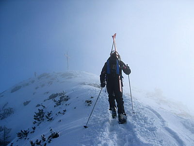 Brecherspitze06 008.jpg